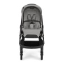 Прогулочная коляска Inglesina Aptica Platinum Grey