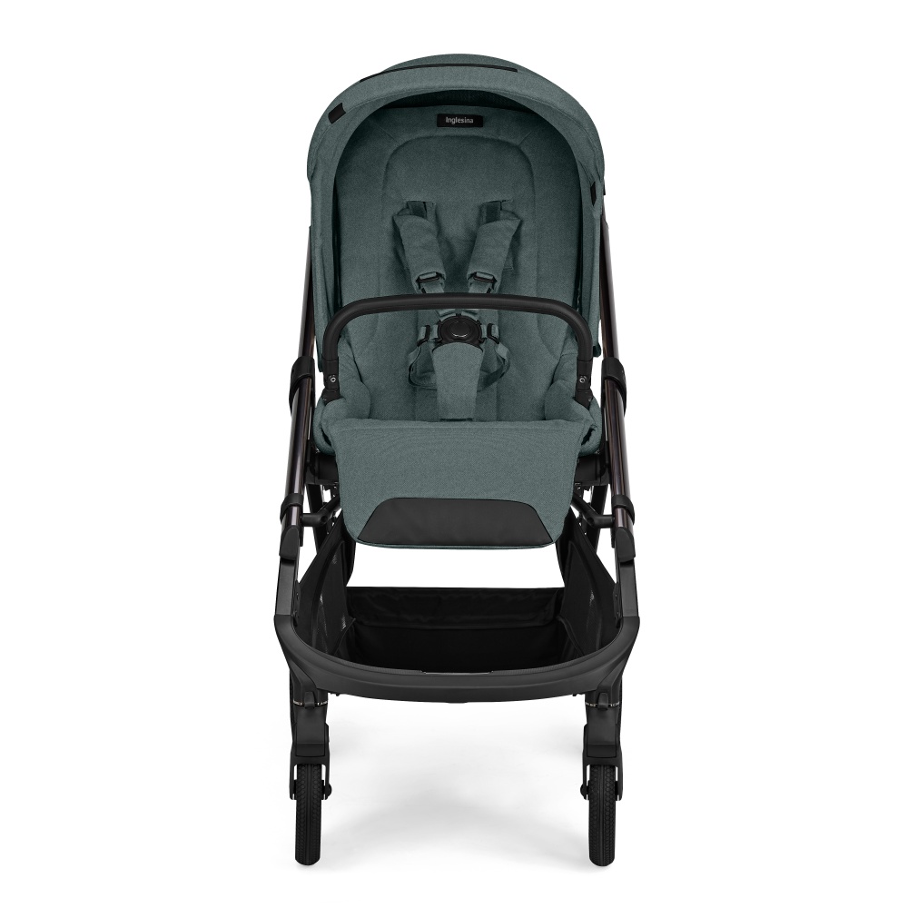 Коляска 2 в 1 Inglesina Aptica Emerald Green